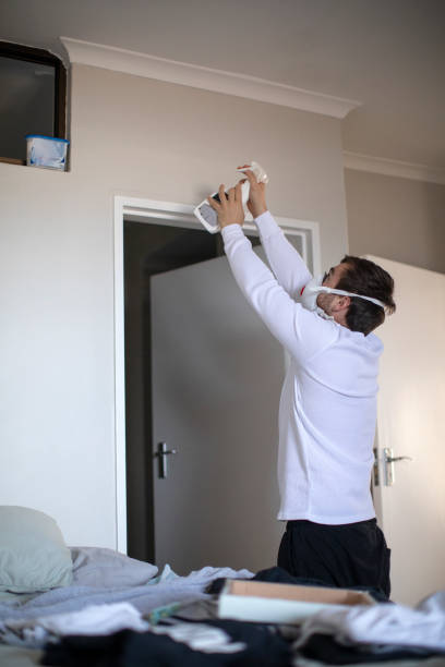 Best Water Damage & Mold Remediation  in Tipton, CA