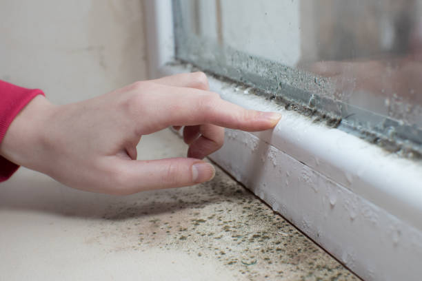 Best Asbestos and Lead Testing During Mold Inspection  in Tipton, CA